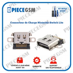 Connecteur de Charge Nintendo Switch Lite
