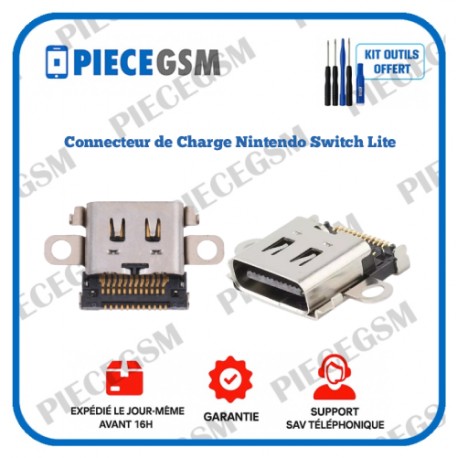 Connecteur de Charge Nintendo Switch Lite