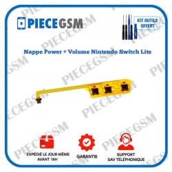 Nappe Power + Volume Nintendo Switch Lite