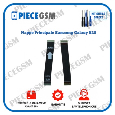 Nappe Principale Samsung Galaxy S20