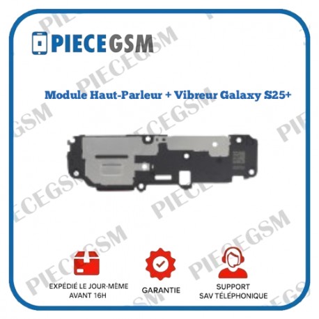 Module Haut-Parleur + Vibreur Galaxy S25+ (S936B)