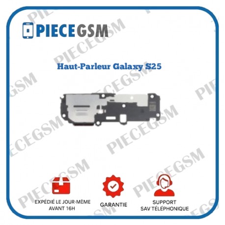 Haut-Parleur Samsung Galaxy S25 (S931B)