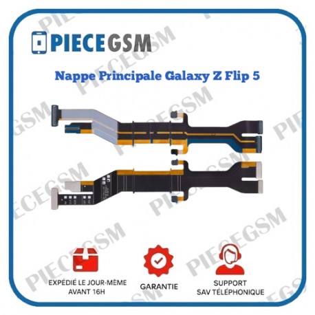 Nappe Principale Galaxy Z Flip 5 (F731B)