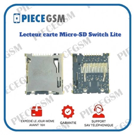 Lecteur carte Micro-SD Nintendo Switch Lite