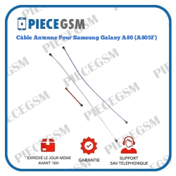 Câble Antenne Pour Samsung Galaxy A80 (A805F)