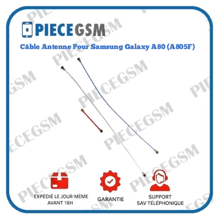 Câble Antenne Pour Samsung Galaxy A80 (A805F)